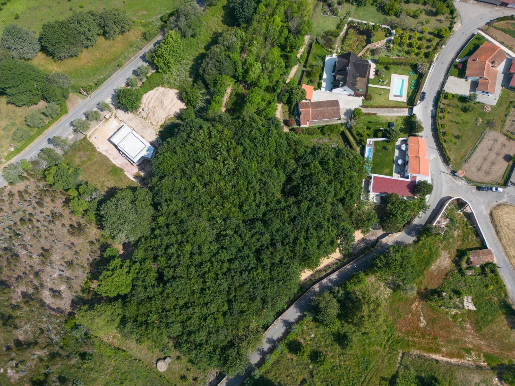 Casa Do Carvalhal - Quinta Do Soldado Villa Alquerubim Luaran gambar